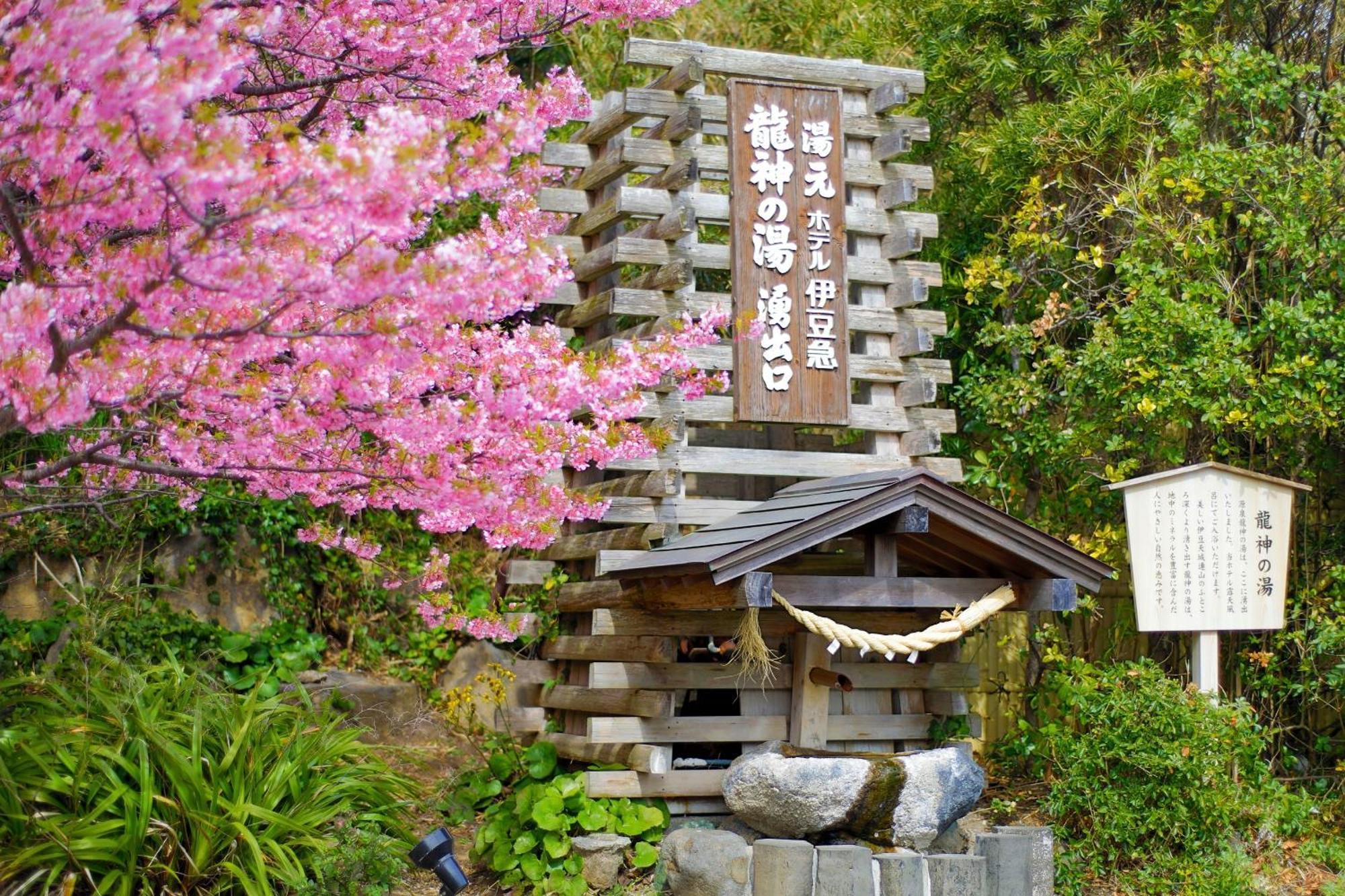 Hotel Izukyu Shizuoka Zewnętrze zdjęcie