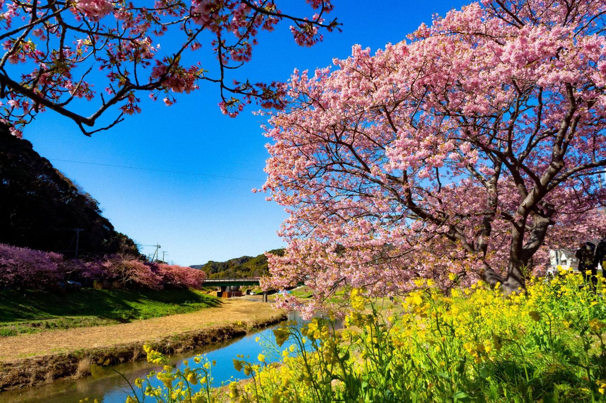 Hotel Izukyu Shizuoka Zewnętrze zdjęcie